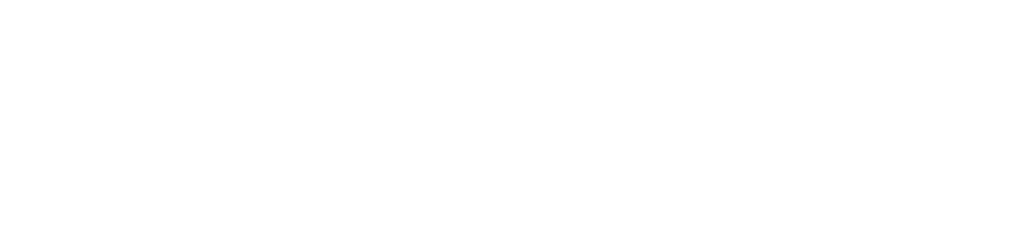 Network Career Consultant